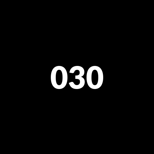 03031 logo