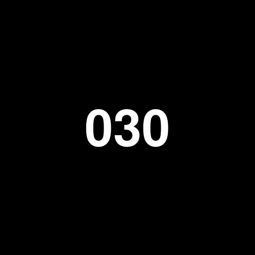 03060 logo
