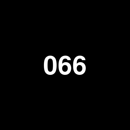 066505 logo