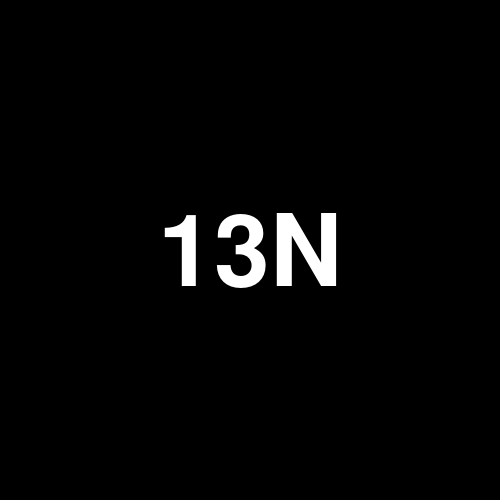 13N1 logo
