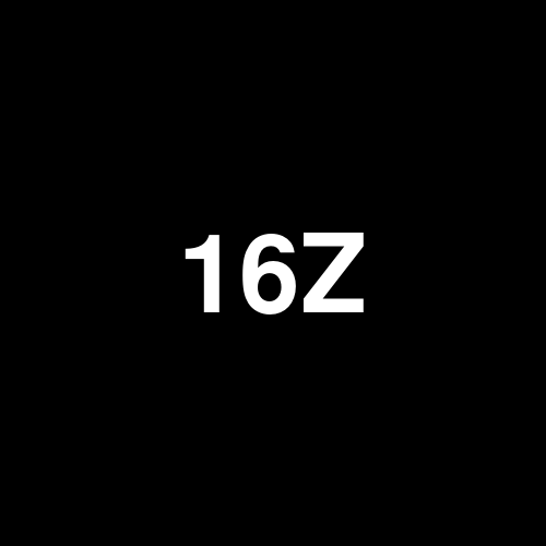 16Z4S logo