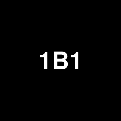 1B1 logo