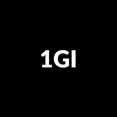 1GIS logo
