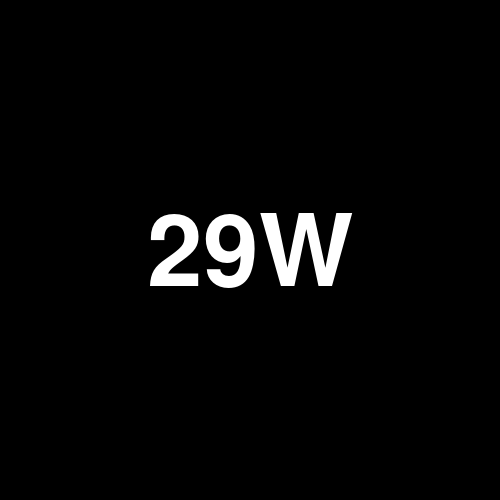 29W5S logo