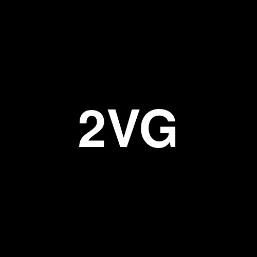 2VG logo
