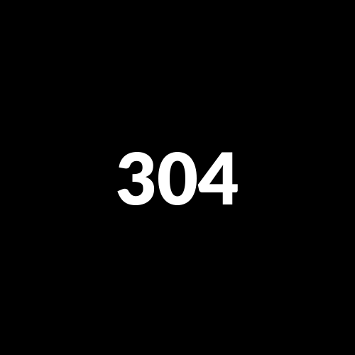 304A logo