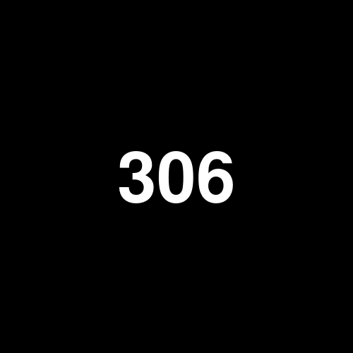 306520 logo