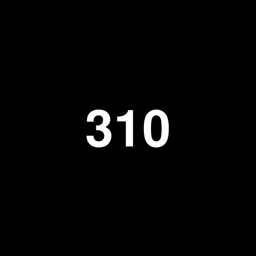 310210 logo