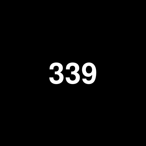 339 logo