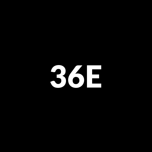 36E3S logo