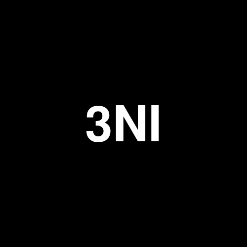 3NIE logo