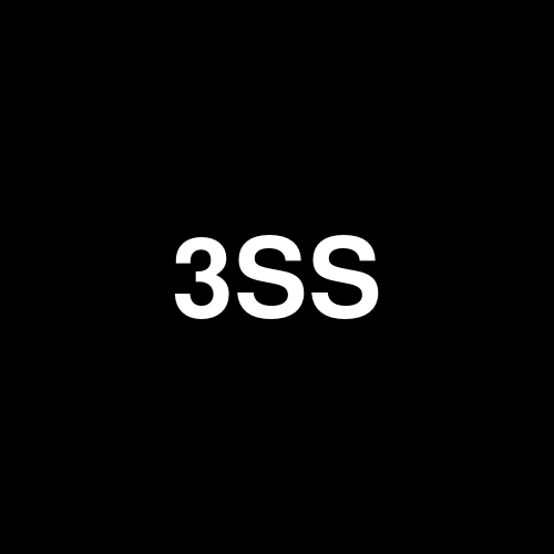 3SSI logo