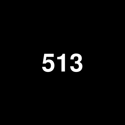 513160 logo