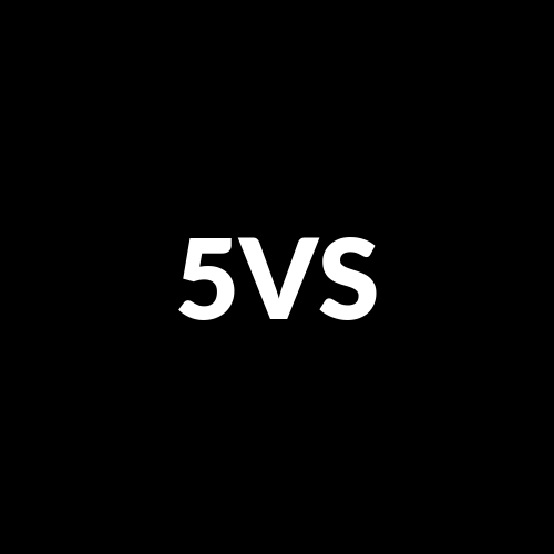 5VS logo