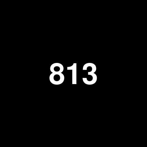 8135T logo