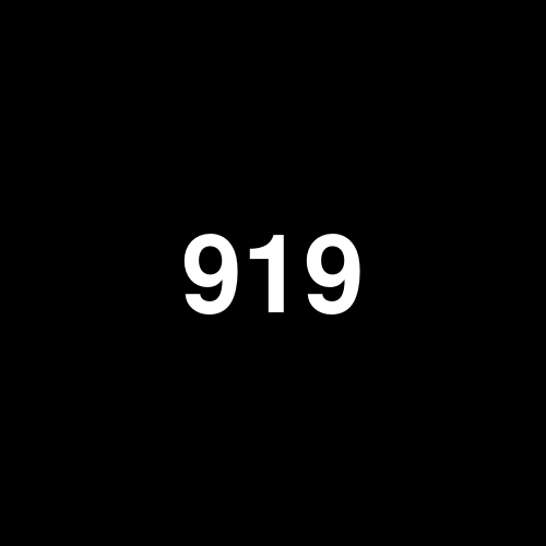 9193 logo