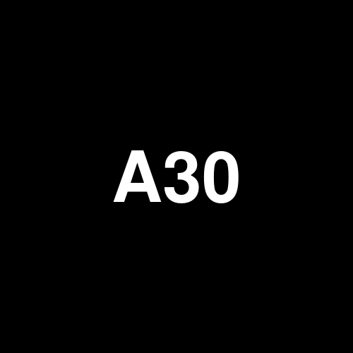 A30V21 logo