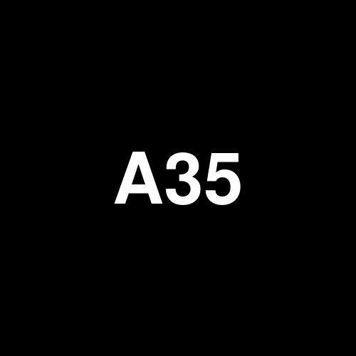 A35 logo