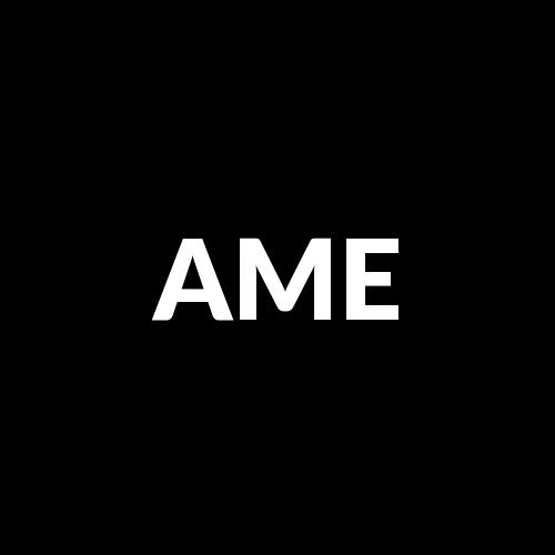 AMERISE logo
