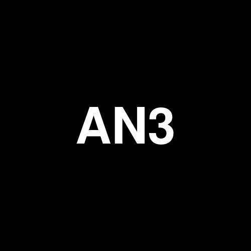 AN3PL logo