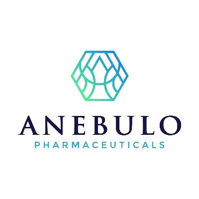 ANEB logo