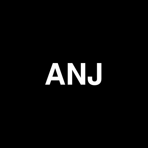 Anjani Synthetics Limited logo