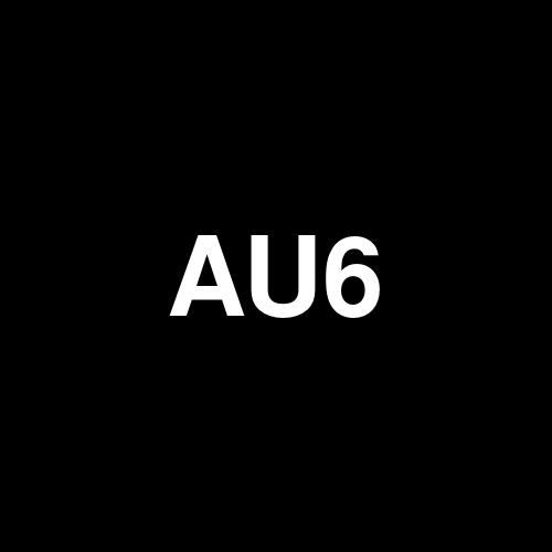 AU6 logo