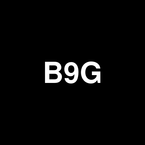 B9G logo