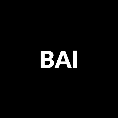 BAIDKAAKA logo