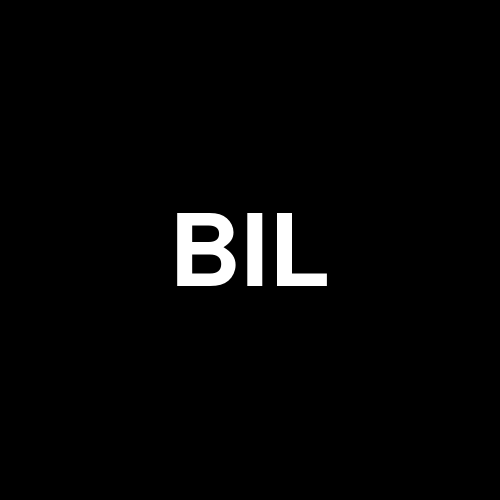 BILD logo