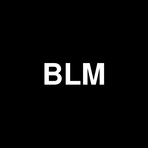 BLMG11 logo