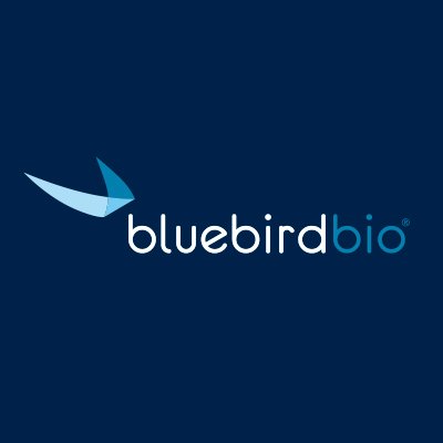 BLUE logo
