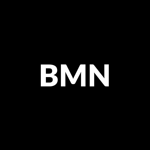 B&M European Value Retail SA logo