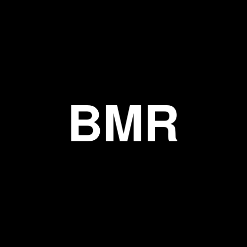 BMRPREVI2 logo