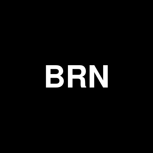 BRNDZ logo