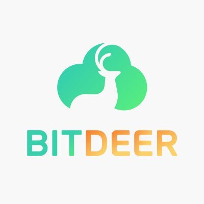 Bitdeer Technologies Group - Ordinary Shares logo