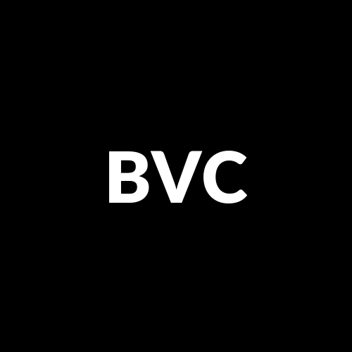 Blockchain Venture Capital Inc. logo