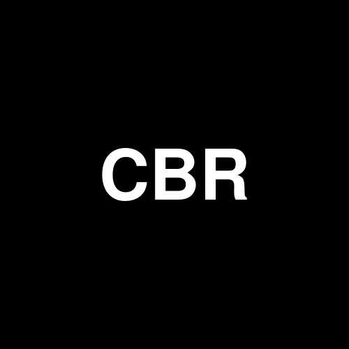CYBERFUELS HOLDING COMPANY INC logo