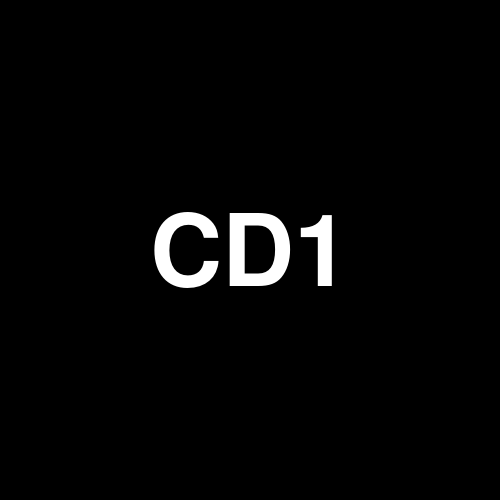 CD1 logo