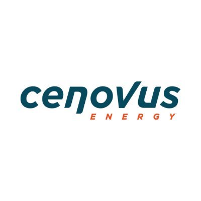 CVE logo