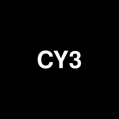 CY3 logo