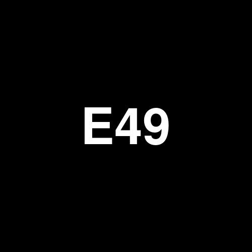 E493T logo