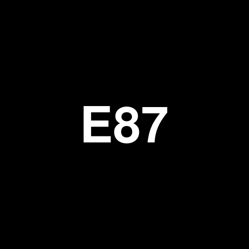 E87 logo