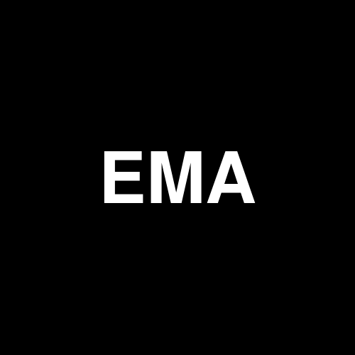EMAE logo