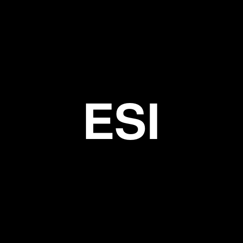 ESI S.p.A. logo