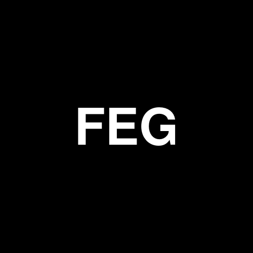FEGV2 logo