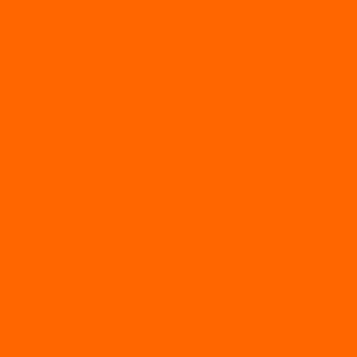 FI logo