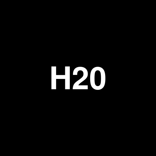 H20 logo