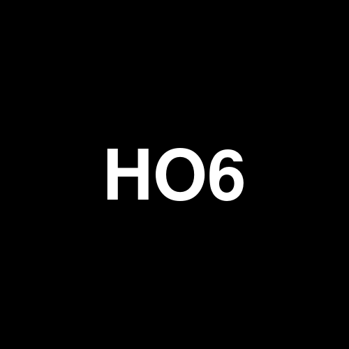 HO6 logo