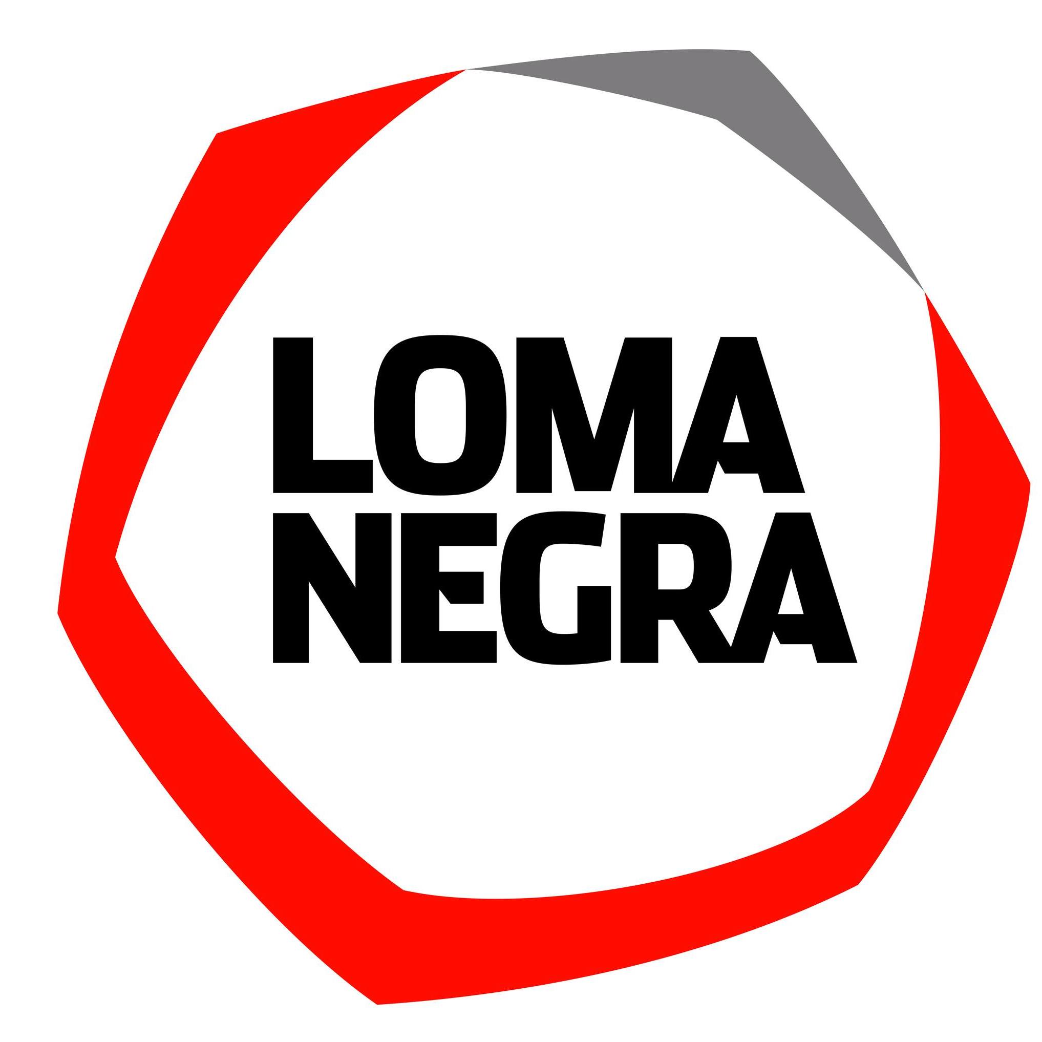 Loma Negra Compañía Industrial Argentina Sociedad Anónima logo